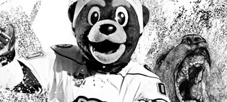 Coco the Bear - Hershey bears mascot