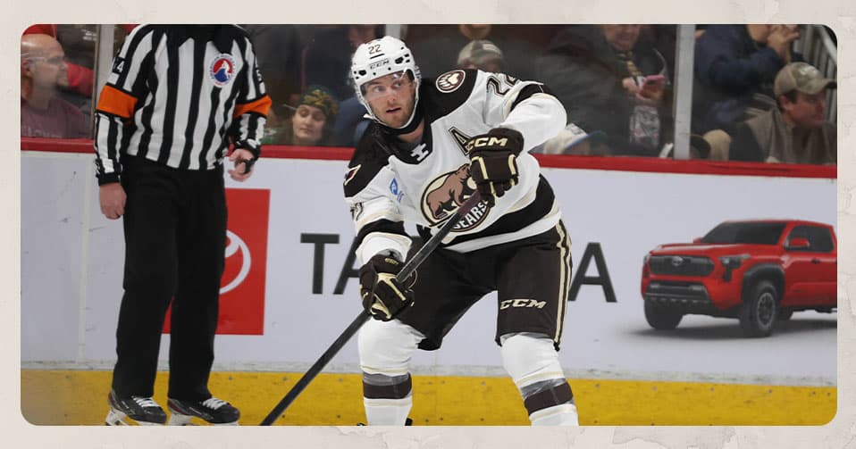 Brodzinski Web