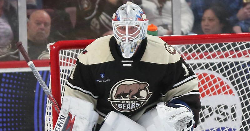 Capitals Loan Bjorklund to Hershey