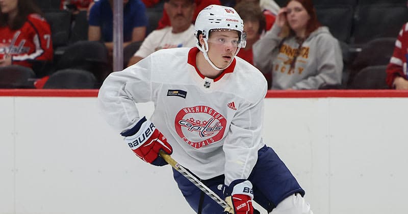 Bears Sign Forward Haakon Hanelt to PTO