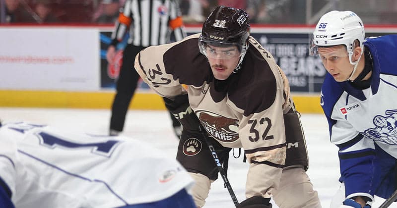 Bears Re sign Forward Justin Nachbaur