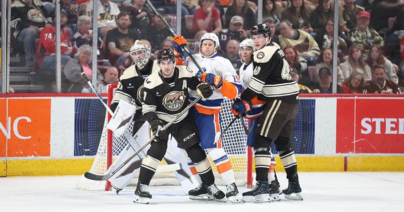 Bears Fall 2 1 in Final Regular Season Meeting with Islanders