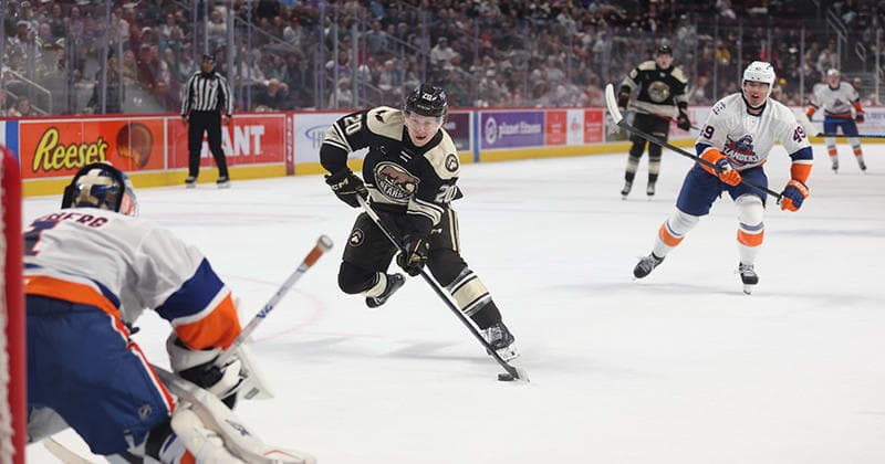 Bears Top Islanders 5 2 to Sweep Series