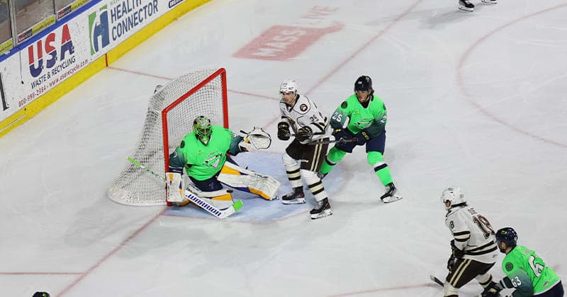 Bears Doubled Up in 6 3 Loss to T Birds