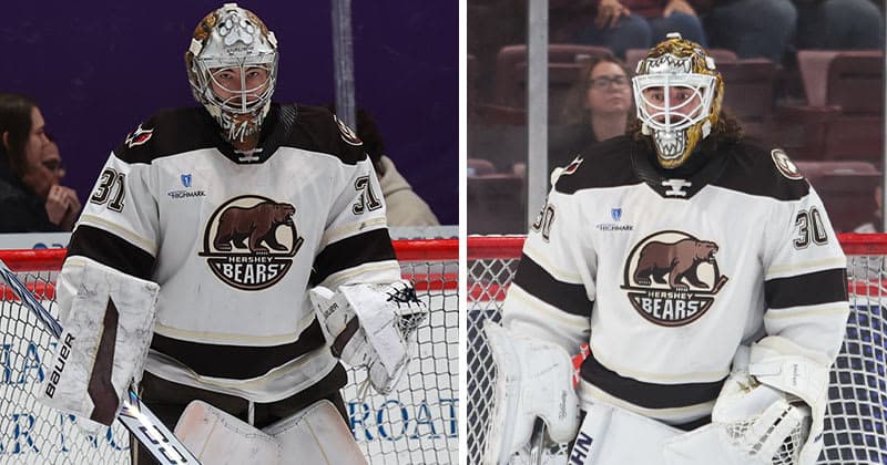 Capitals Recall Stevenson, Loan Shepard to Hershey