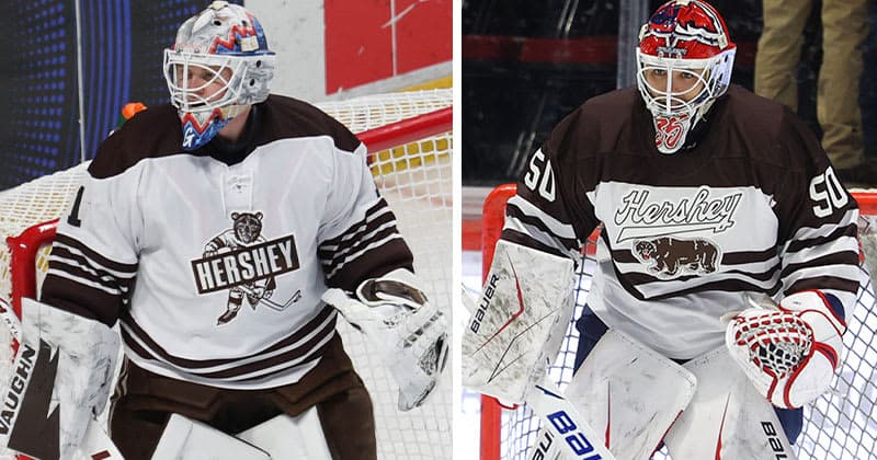Bjorklund Returns to Bears, Eisele Loaned to Stingrays
