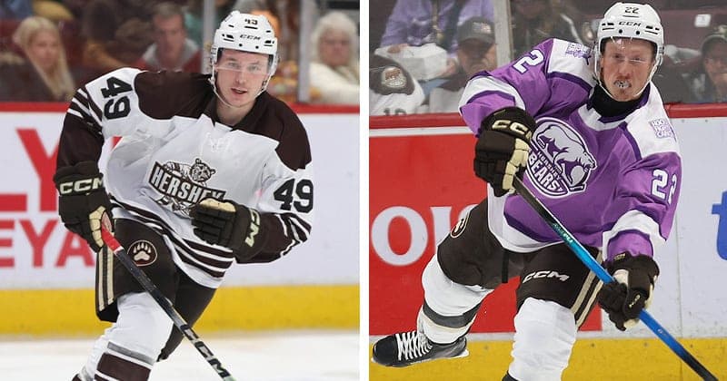 Bears Loan Kupka and Pyke to Stingrays