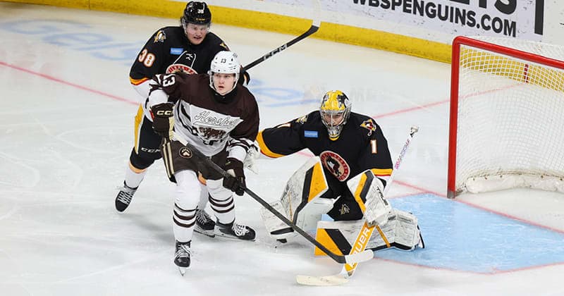 Bears Suffer 5 2 Loss to Penguins in Return from Holiday Break