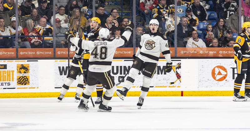Bears Even Series With 2 1 Game 2 Win Over Penguins