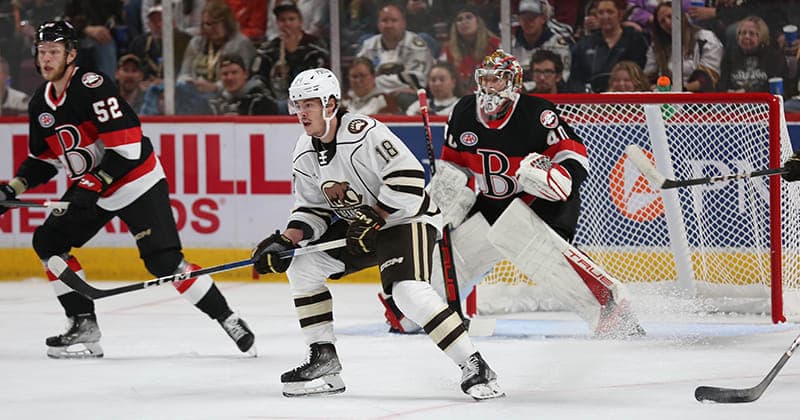Bears Blanked by Senators 3 0 on Opening Night
