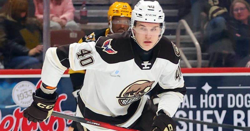 Ilya Protas Named Upper Deck/AHL Rookie of the Month for April