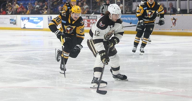Bears Drop Game 1 to Penguins in 4 2 Decision