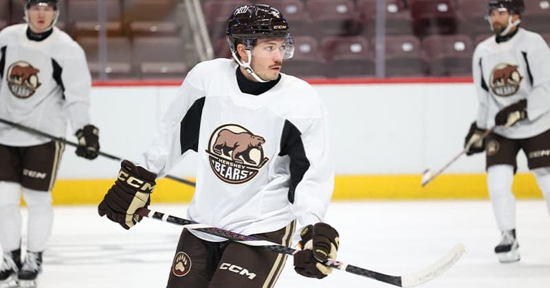 Heading Into Preseason, Several Bears Try to Make the Cut