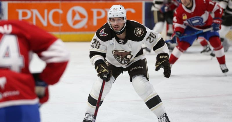 Weekly Release: Bears Head to Canada