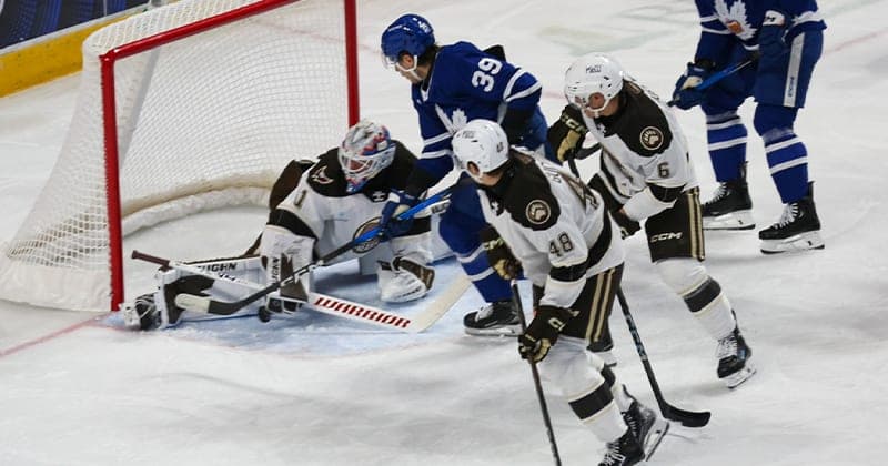 Bears Win Streak Stopped in 5 2 Loss to Marlies