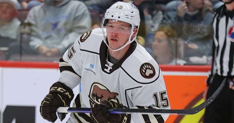 Bears Release Forward Julian Napravnik