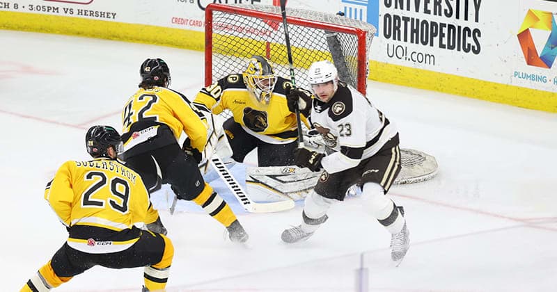 Bears Suffer Heartbreaking 5 4 Loss to Bruins