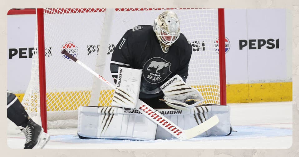 Bjorklund Web