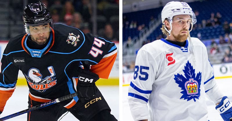 Bears Add Pair of Defensemen for 2026 27 Season