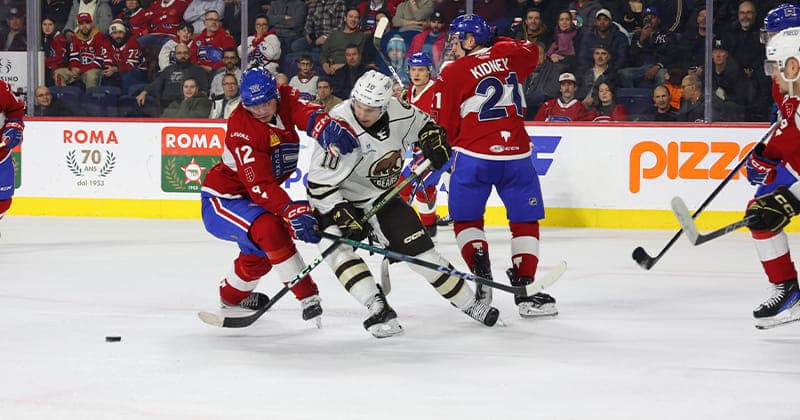 Bears Rally Against Rocket, Fall 3 2 in Shootout