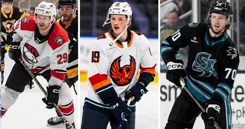 Bears Sign Morrison, McCallum, and Beck to AHL Contracts