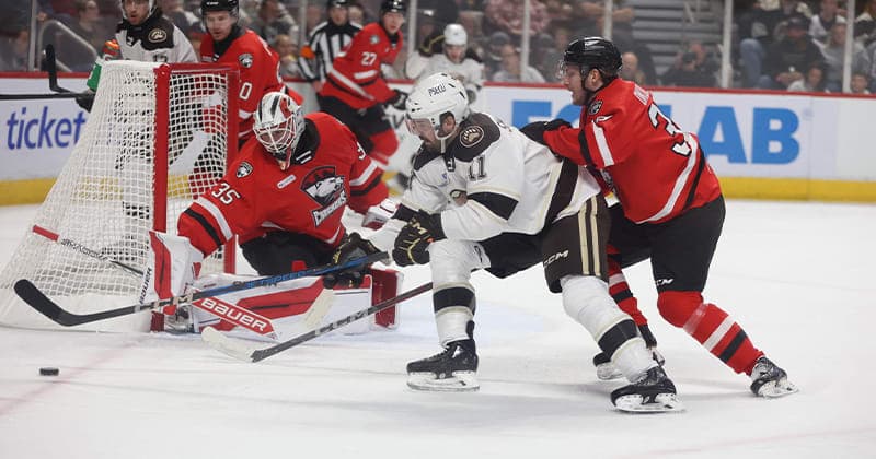 Bears Drop 4 2 Decision to Checkers