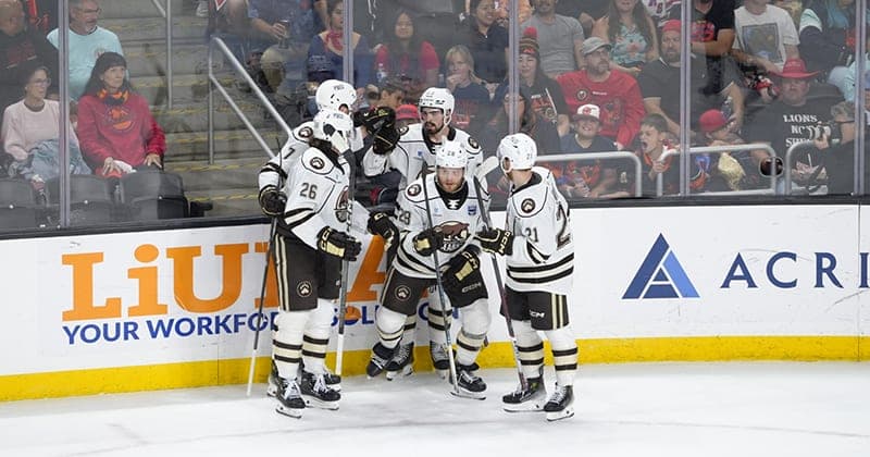 Bears Top Firebirds 3 2 to Tie Finals
