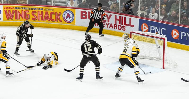 Bears Take Down Penguins 4 1 in Return Home