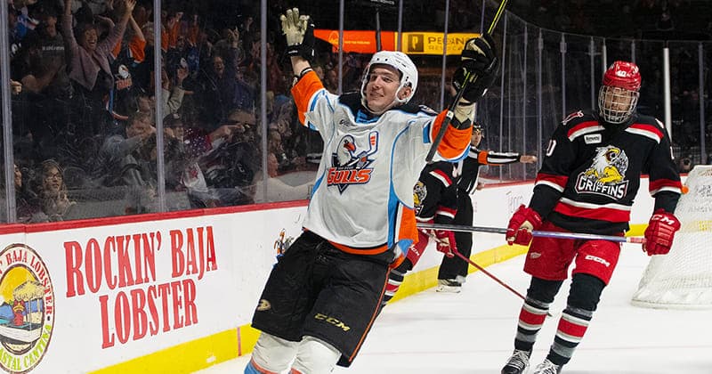 Bears Sign Osipov to Professional Tryout