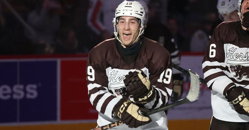 Bears Re sign Grant Cruikshank for 2026 27 Season