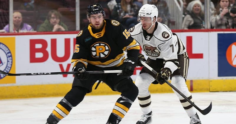 Weekly Release: Bears Face Thunderbirds, Bruins