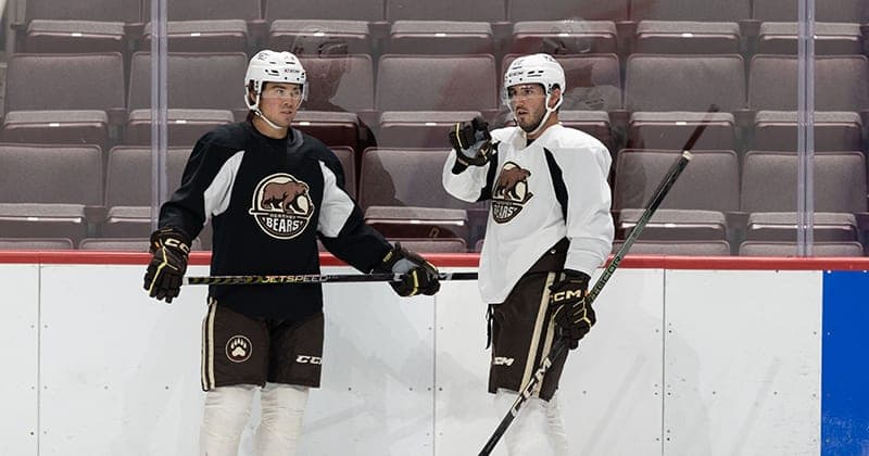 Group of Bears Gather for Informal Ice Session