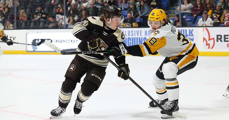 Bears Head into Break After Dropping 3 1 Decision to Penguins