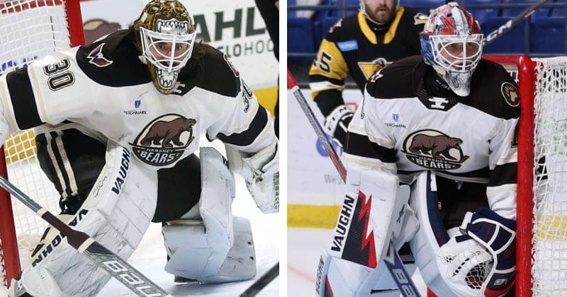 Capitals Recall Shepard, Bjorklund Re assigned to Bears