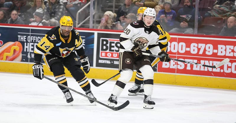 Bears Pick Up Point in 4 3 Overtime Loss to Penguins