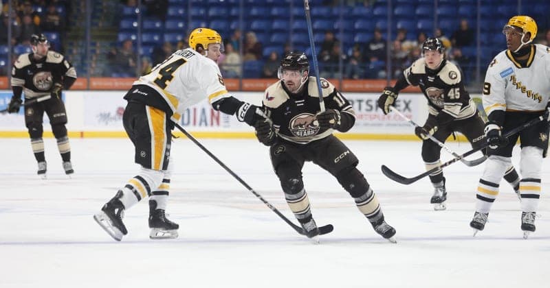 Bears Humbled in 9 0 Loss to Penguins