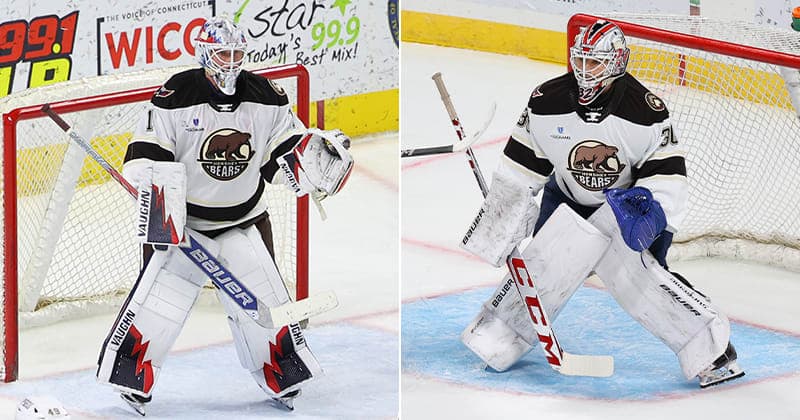 Garin Bjorklund Re assigned to Stingrays, Bears Recall Seth Eisele