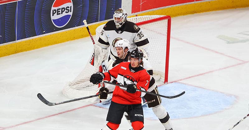 Bears Blank Checkers 4 0
