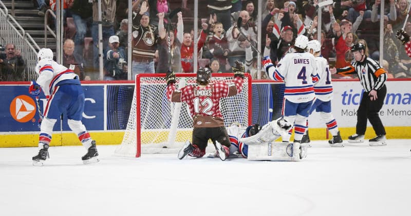 Limoges Lifts Bears to 2 1 OT Win Against Amerks