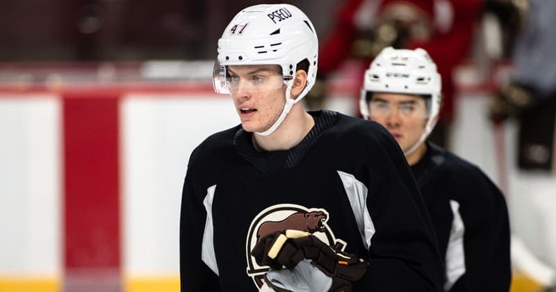 Bears Ink Martin Has to AHL Deal
