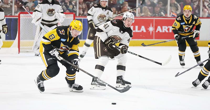 Weekly Release: Bears Remain Home to Host Penguins, Phantoms