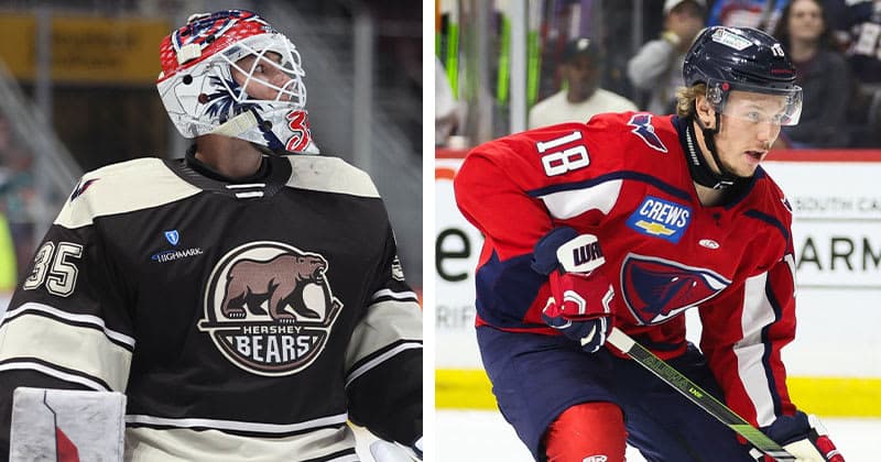 Bears Re sign Eisele, Ink Kupka to AHL Deal