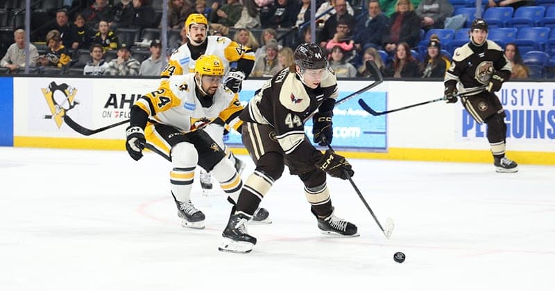 Bears Drop 4 1 Road Decision to Penguins
