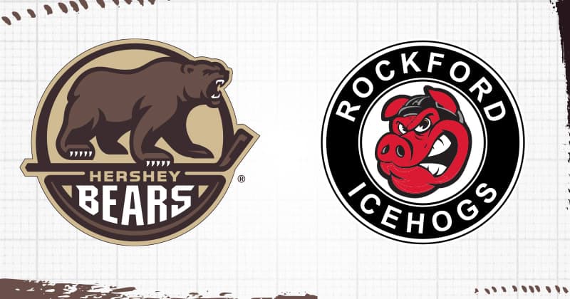 GIANT Teddy Bear Toss Game Preview: Bears vs. IceHogs, 3 p.m.