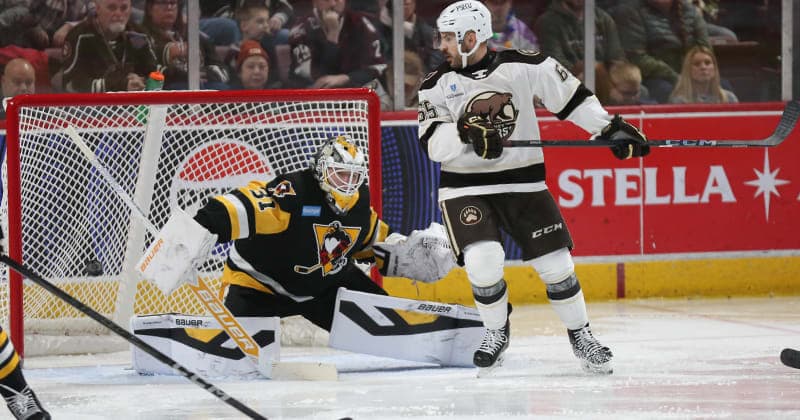 Weekly Release: Bears Battle Penguins in Pair of Games