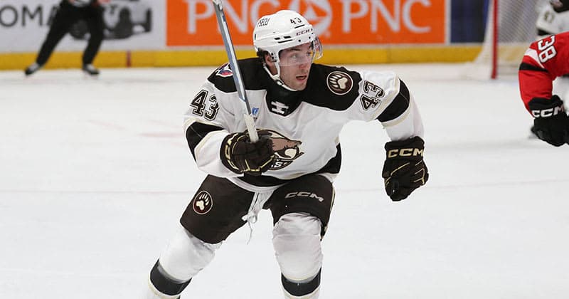Bears Re sign Grant Cruikshank to AHL Deal for 2025 26 season