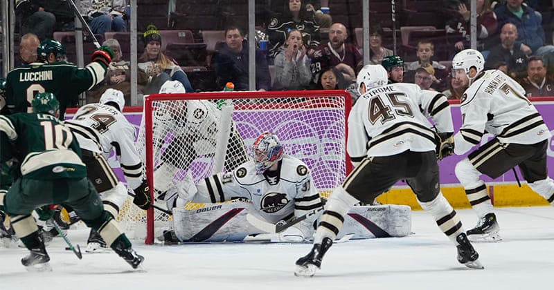 Power Play Powers Bears to 2 1 Win Over Wild