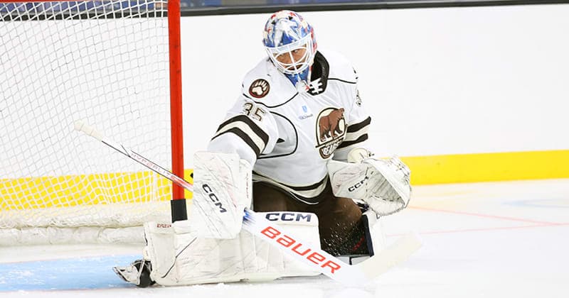 Gibson Re assigned to Stingrays