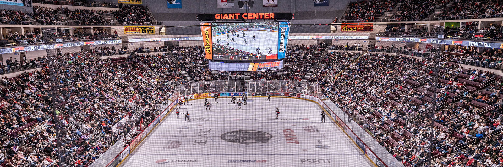 Giant Center full of bears fans