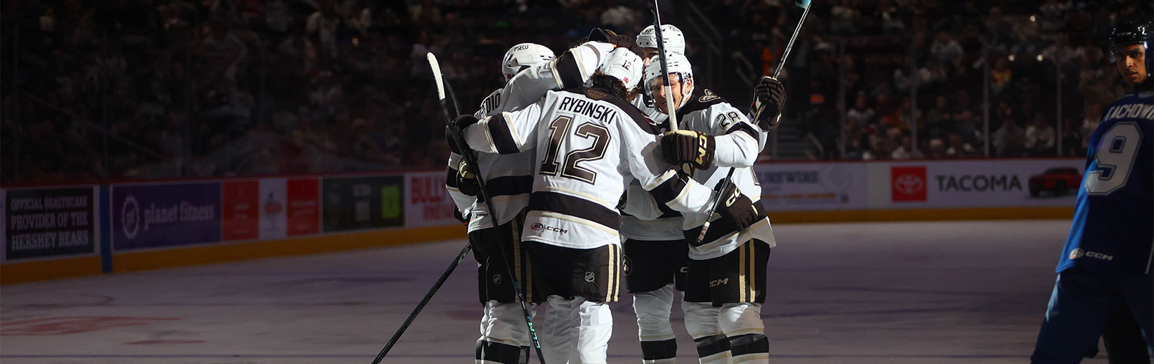 Bears celebrating